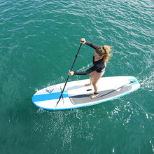 BoardWorks Shubu Riptide 10'6